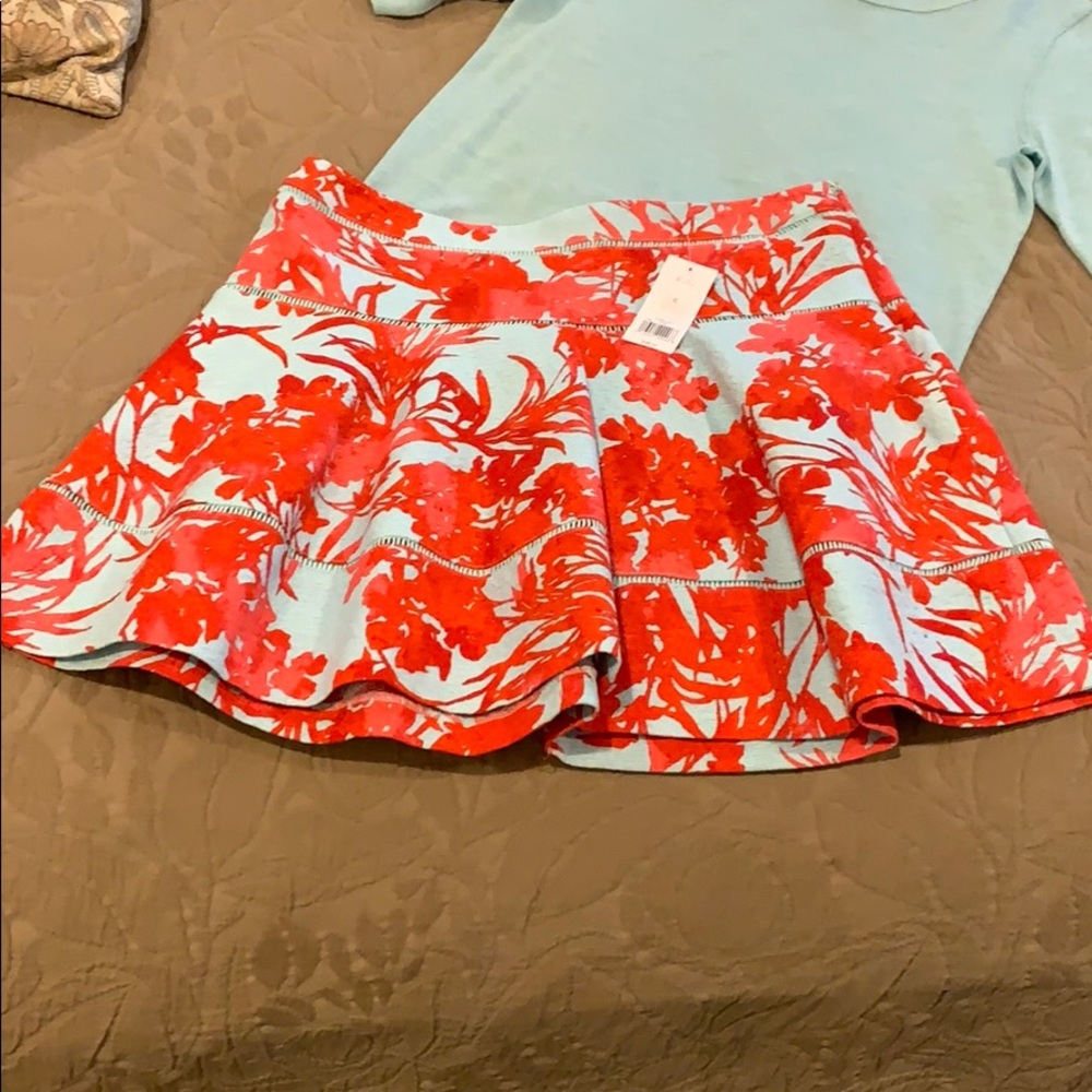 Banana Republic Skirt